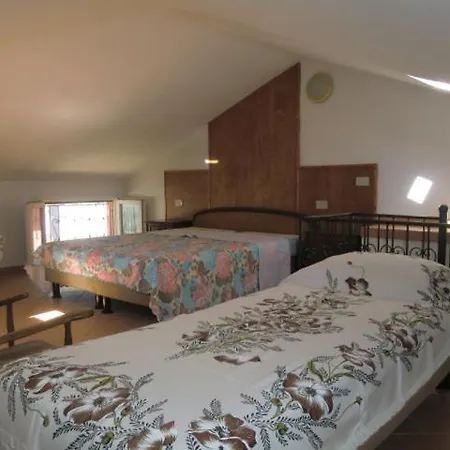 Apartment Martini - Tirrenia